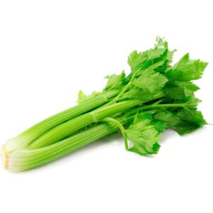 Fresh Celery
