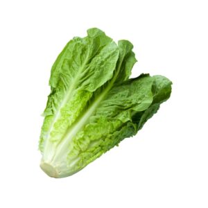 Romaine Lettuce 1 kg / 2.2 lb