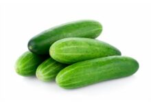 cucumber