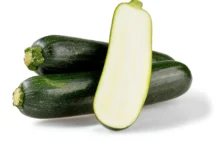 Zucchini